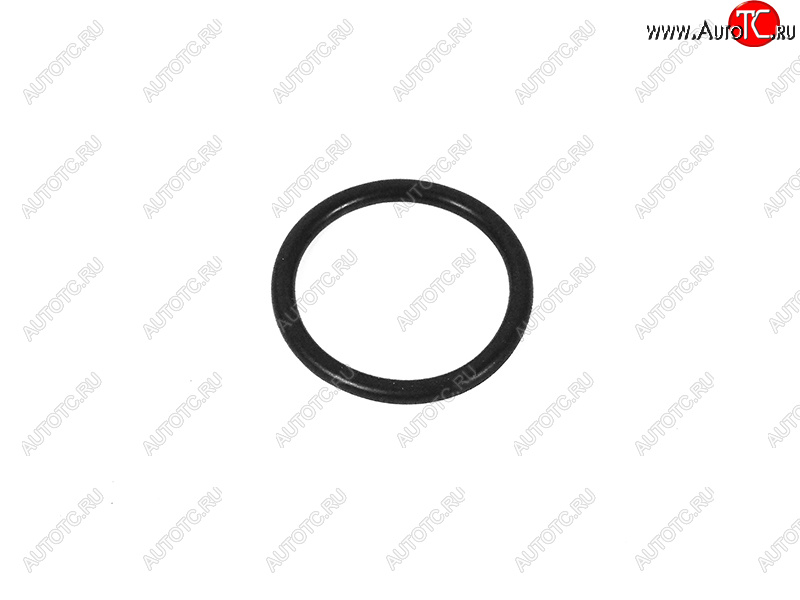 369 р. Кольцо уплотнительное АКПП VAG VAG WHT001403  с доставкой в г. Воронеж