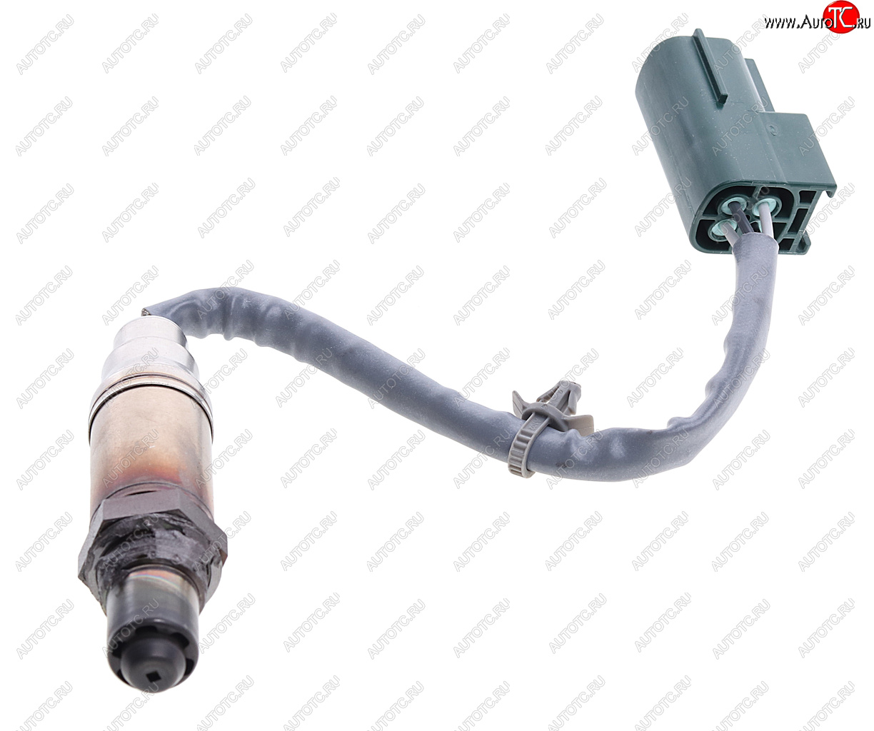 6 299 р. Датчик кислорода NISSAN Micra (03-) (1.2/1.4) BOSCH BOSCH 0258005307 BOSCH 0258005307  с доставкой в г. Воронеж