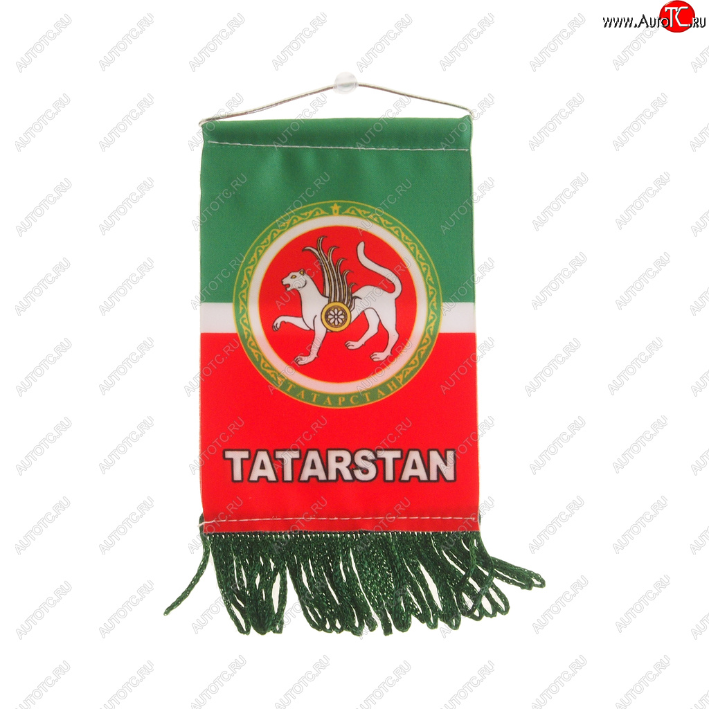 172 р. Вымпел TATARSTAN с бахромой (8х12см) на присоске AUTOSTICKERS 06271057538  с доставкой в г. Воронеж