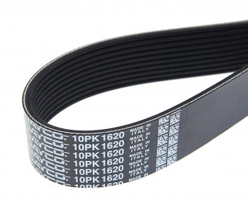 2 469 р. Ремень приводной поликлиновой 10PK1620HD DAYCO DAYCO 10pk1620hd  с доставкой в г. Воронеж. Увеличить фотографию 2