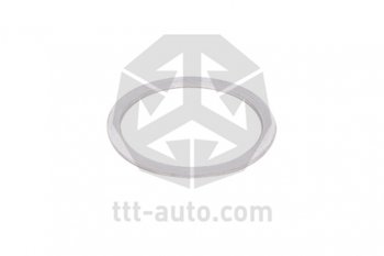 3 799 р. Ремкомплект суппорта WABCO 19.522.5 (направляющие,болты,пыльники,шайбы) TTT TTT 14803  с доставкой в г. Воронеж. Увеличить фотографию 11