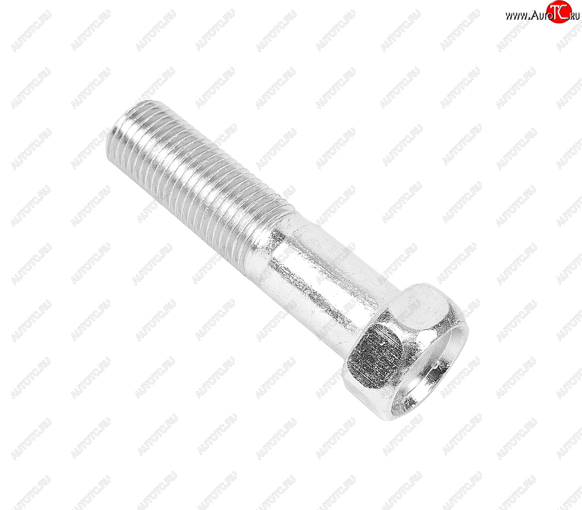 38 р. Болт М12х1.25х50 ГАЗ-3302 эксцентрика ГРМ ЭТНА Красная Этна ОАО 201571-п29  с доставкой в г. Воронеж