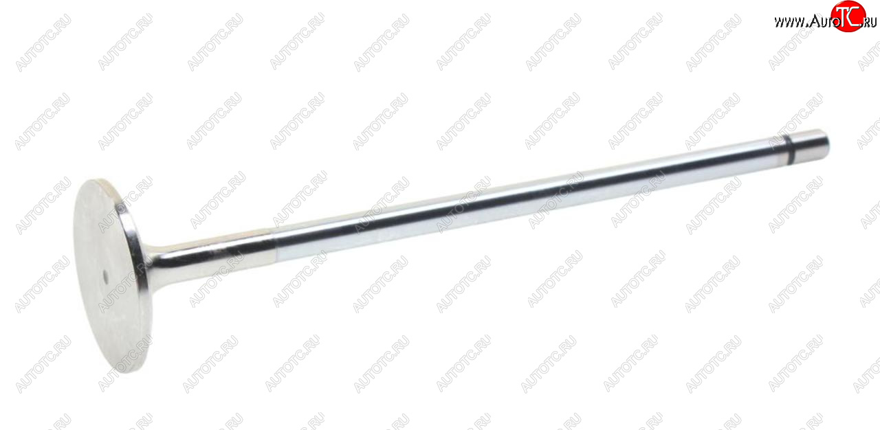 2 899 р. Клапан впускной RENAULT Kerax дв.DCI11 MAHLE MAHLE 209ve31296000  с доставкой в г. Воронеж