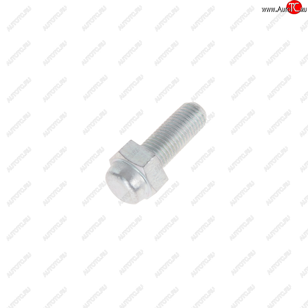24 р. Болт М10х1.25х25 ВАЗ-2101 суппорта нижний NO NAME 2101-3501190  с доставкой в г. Воронеж