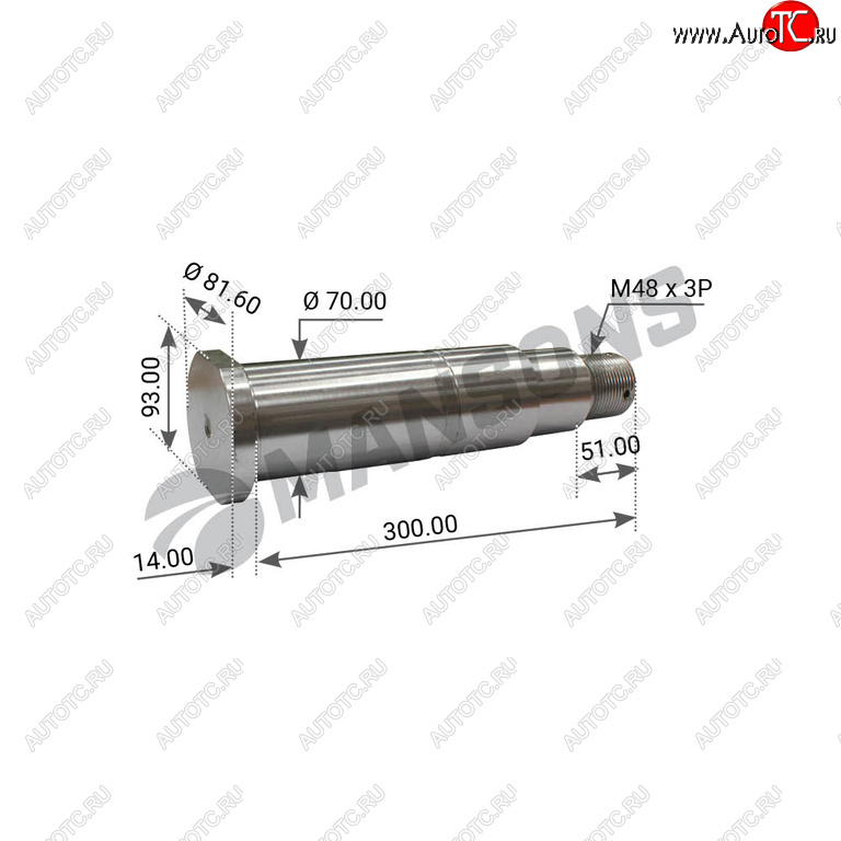 3 599 р. Палец BPW балансира MANSONS MANSONS 300.304.1  с доставкой в г. Воронеж