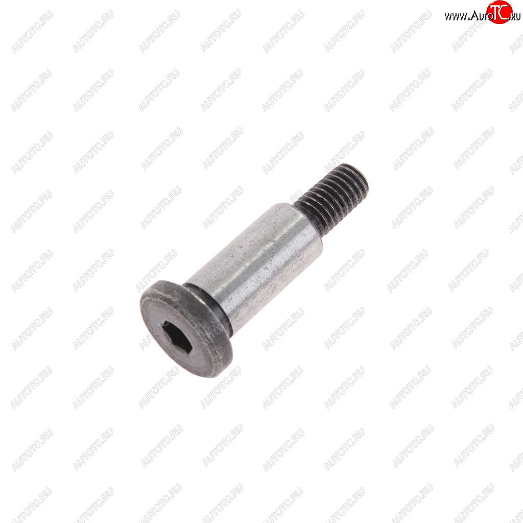 115 р. Болт М8х1.25х40 ГАЗ-3102 башмака натяжителя ЭТНА Красная Этна ОАО 406.1006098-10  с доставкой в г. Воронеж