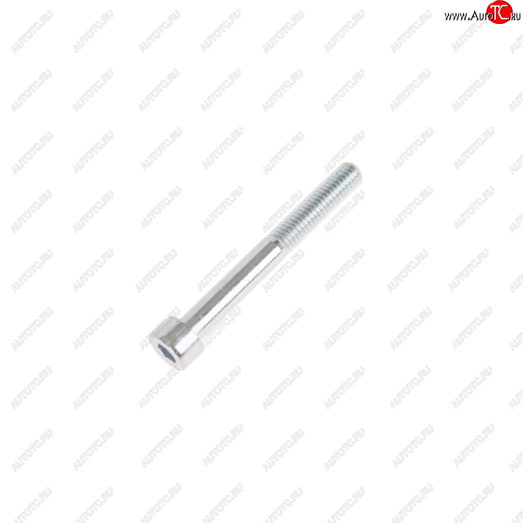 19 р. Болт М8х1.25х65 крышки передней дв.ЗМЗ-406 длинный NO NAME 874404-п29  с доставкой в г. Воронеж