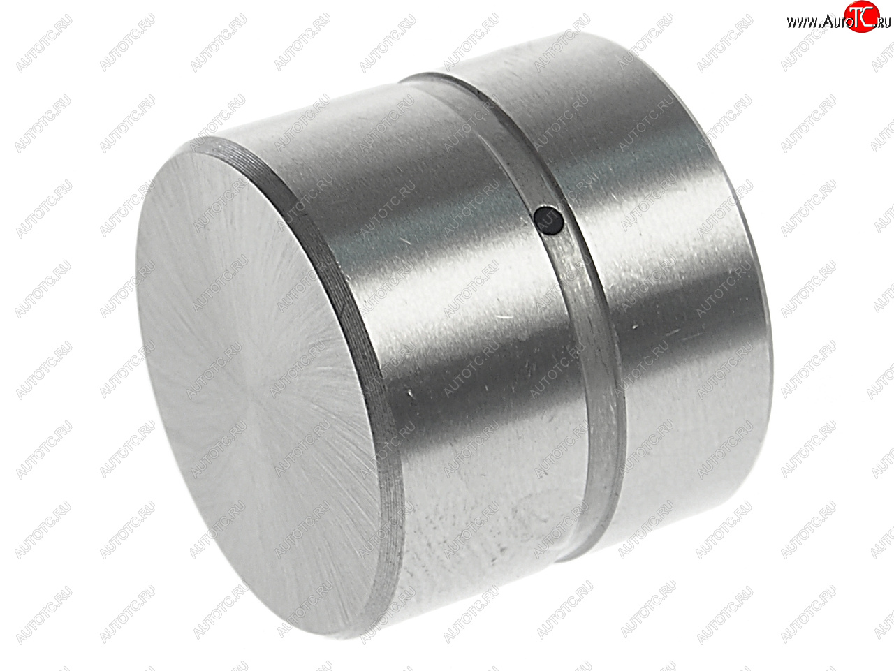 529 р. Гидрокомпенсатор HYUNDAI Accent (99-),Elantra (00-),Getz (02-),Matrix (01-) NSP NSP nsp022223137110  с доставкой в г. Воронеж