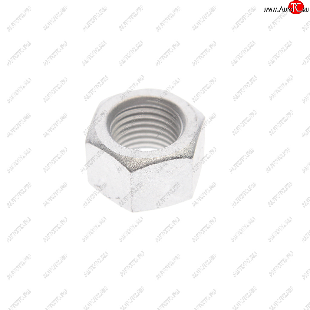 162 р. Гайка VW AUDI SEAT SKODA PATRON PATRON pblt031  с доставкой в г. Воронеж