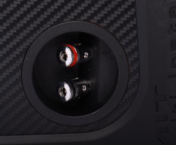 15 799 р. Акустическая система в корпусе VIBE VIBE slickprobox6-v0  с доставкой в г. Воронеж. Увеличить фотографию 4