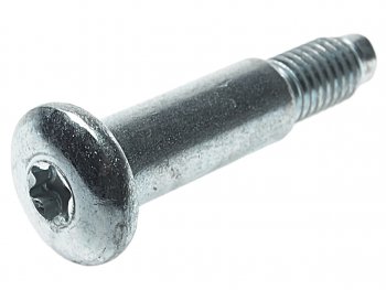 Болт М8х1.25х47 (ось) петли двери ВАЗ-1118 (ключ TORX) NO NAME 11180-6106020-00 NO NAME 11180-6106020-00