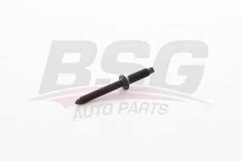 Шпилька FORD Focus,C-Max (307,308,407,C4) (04-11) (1.6 TDCI) крепления форсунки BSG BSG bsg30230053
