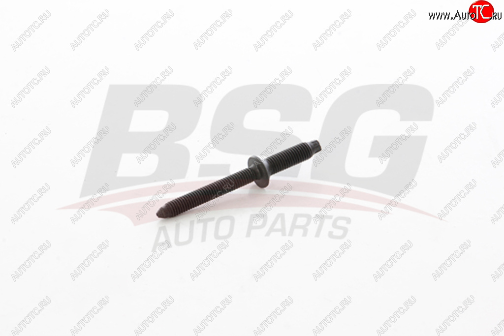 74 р. Шпилька FORD Focus,C-Max (307,308,407,C4) (04-11) (1.6 TDCI) крепления форсунки BSG BSG bsg30230053  с доставкой в г. Воронеж