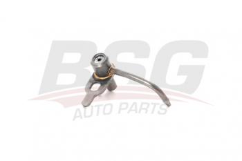 Форсунка FORD Transit (00-) масляная BSG BSG bsg30122034