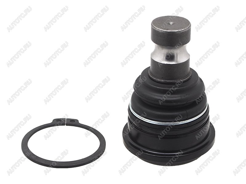 1 459 р. Шаровая опора переднего нижнего рычага HYUNDAI SANTA FE 06-KIA SORENTO 09-12 555 SBK-8442 с доставкой в г. Воронеж Увеличить фотографию 1 1 459 р. Шаровая опора переднего нижнего рычага HYUNDAI SANTA FE 06-KIA SORENTO 09-12 555 SBK-8442 с доставкой в г. Воронеж