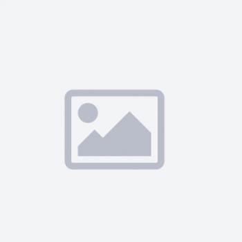 Направляющая дышла L19 AvtoS AvtoS  1.02.000.01 a19