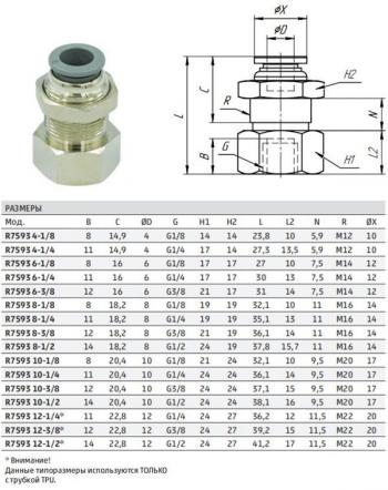 239 р. Фитинг панельного монтажа с внутр. резьбой R7593 8-14  r7593 8-14  с доставкой в г. Воронеж. Увеличить фотографию 2