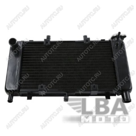 9 999 р. Радиатор для Yamaha FZ6, FZ6N, FZ6-N, FZ6S  04-10  пм-00000940  с доставкой в г. Воронеж
