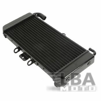 11 449 р. Радиатор для Yamaha FZS600 98-03  пм-00000942  с доставкой в г. Воронеж. Увеличить фотографию 2