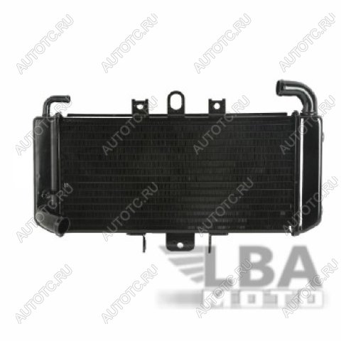 11 449 р. Радиатор для Yamaha FZS600 98-03  пм-00000942  с доставкой в г. Воронеж