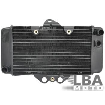 Радиатор для Honda VTR250 97-08  пм-00003639