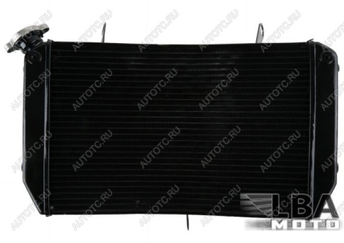 10 999 р. Радиатор для Yamaha FZ1 06-13, FZ1-N 06-12, FZ1-S 06-13, FZ8-N 11-13, FZ8-S 11-13  пм-00003665  с доставкой в г. Воронеж