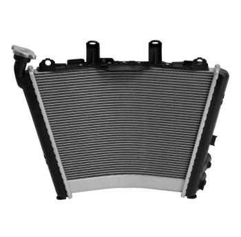 24 999 р. Радиатор для BMW M1000RR 21-24, S1000R 21-24, S1000RR 19-24  пм-00030874  с доставкой в г. Воронеж. Увеличить фотографию 3