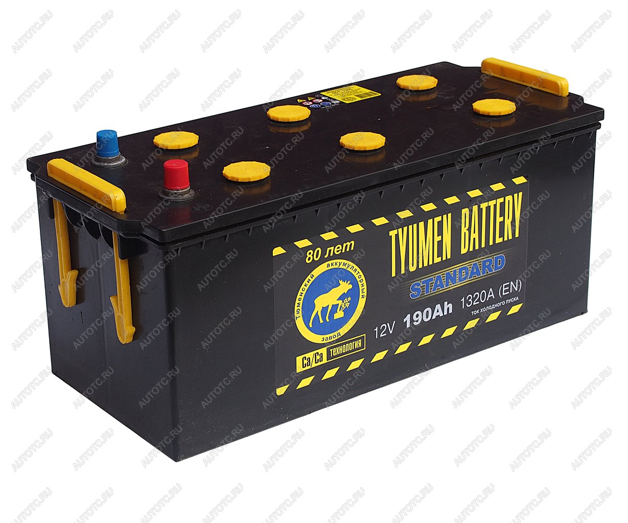 21 649 р. Аккумулятор TYUMEN BATTERY STANDART 190Ач под болт TYMEN BATTERY 6ст190(4)  с доставкой в г. Воронеж