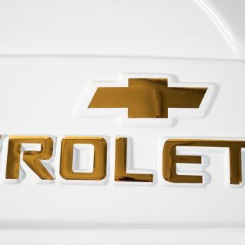1 939 р. Колпак запасного колеса Chevrolet NIVA (до 2009 г.в.) ООО Автостайл Автостайл ООО г. Сызрань 2000000700410  с доставкой в г. Воронеж. Увеличить фотографию 3