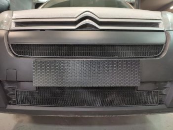 2 149 р. Защитная сетка в бампер (верх, ячейка 3х7 мм) Alfeco Стандарт CITROEN Berlingo B9 рестайлинг (2015-2022) (Чёрная)  с доставкой в г. Воронеж. Увеличить фотографию 2
