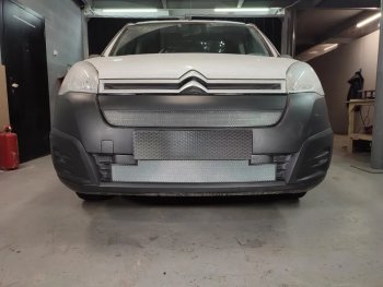 2 299 р. Защитная сетка в бампер (верх, ячейка 3х7 мм) Alfeco Стандарт  CITROEN Berlingo  B9 (2015-2022) рестайлинг (Хром)  с доставкой в г. Воронеж. Увеличить фотографию 2