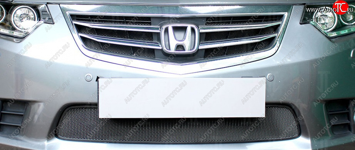 3 079 р. Защитная сетка в бампер (низ, ячейка 3х7 мм) Alfeco Стандарт Honda Accord 9 CR седан дорестайлинг (2013-2016) (Чёрная)  с доставкой в г. Воронеж