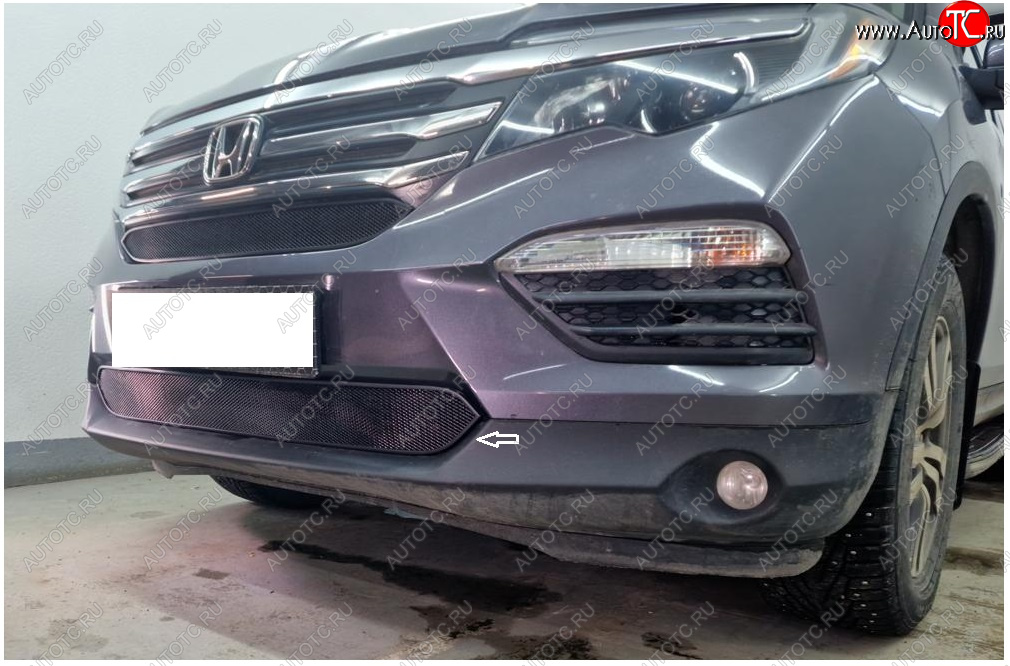 2 699 р. Защитная сетка в бампер (низ, ячейка 3х7 мм) Alfeco Стандарт  Honda Pilot  YF6 (2016-2019) дорестайлинг (Чёрная)  с доставкой в г. Воронеж