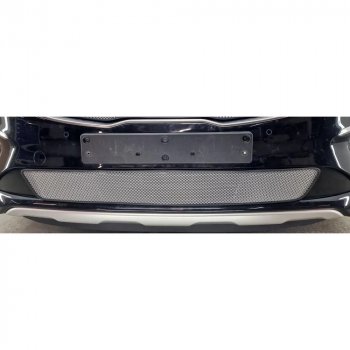 2 569 р. Защитная сетка в бампер (низ, ячейка 3х7 мм) Alfeco Стандарт  KIA Carnival  YP (2018-2020) минивэн рестайлинг (Хром)  с доставкой в г. Воронеж. Увеличить фотографию 2