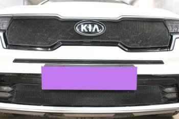 Защитная сетка в бампер (середина, ячейка 3х7 мм) Alfeco Стандарт KIA Sorento  MQ4 (2020-2022) (Чёрная)