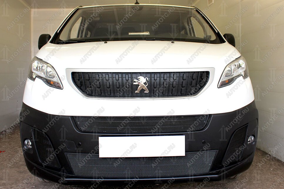5 949 р. Защита радиатора (2 части центральные) Стрелка11 Стандарт Peugeot Expert K0 цельнометаллический фургон дорестайлинг (2016-2024) (черная)  с доставкой в г. Воронеж