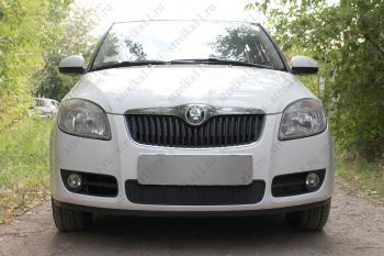 Защита радиатора Стрелка11 Стандарт Skoda Fabia Mk2 хэтчбэк дорестайлинг (2007-2010)