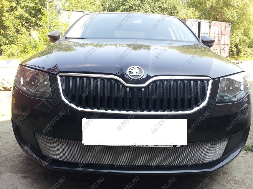 3 179 р. Защита радиатора (Active) Стрелка11 Стандарт  Skoda Octavia  A7 (2012-2017) дорестайлинг лифтбэк, дорестайлинг универсал (хром)  с доставкой в г. Воронеж