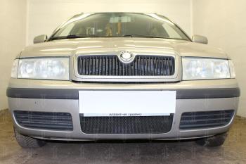 Защита радиатора (Active) Стрелка11 Стандарт Skoda Octavia ( Tour A4 1U2,  Tour A4 1U5) (2000-2010) лифтбэк рестайлинг, универсал рестайлинг (черная)