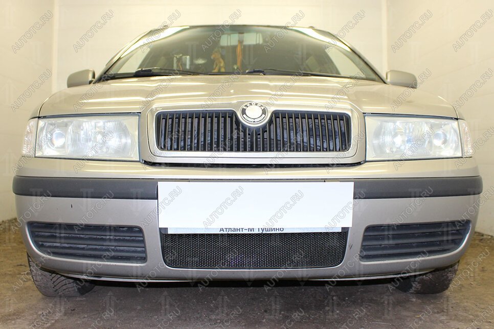 2 899 р. Защита радиатора (Active) Стрелка11 Стандарт  Skoda Octavia ( Tour A4 1U2,  Tour A4 1U5) (2000-2010) лифтбэк рестайлинг, универсал рестайлинг (черная)  с доставкой в г. Воронеж