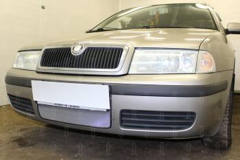 Защита радиатора Стрелка11 Стандарт Skoda Octavia ( Tour A4 1U2,  Tour A4 1U5) (2000-2010) лифтбэк рестайлинг, универсал рестайлинг (хром)
