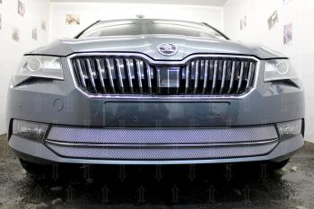 4 999 р. Защита радиатора (2 части) Стрелка11 Стандарт  Skoda Superb ( B8 (3V),  B8 (3V5)) (2015-2019) лифтбэк дорестайлинг, универсал дорестайлинг (хром)  с доставкой в г. Воронеж. Увеличить фотографию 2