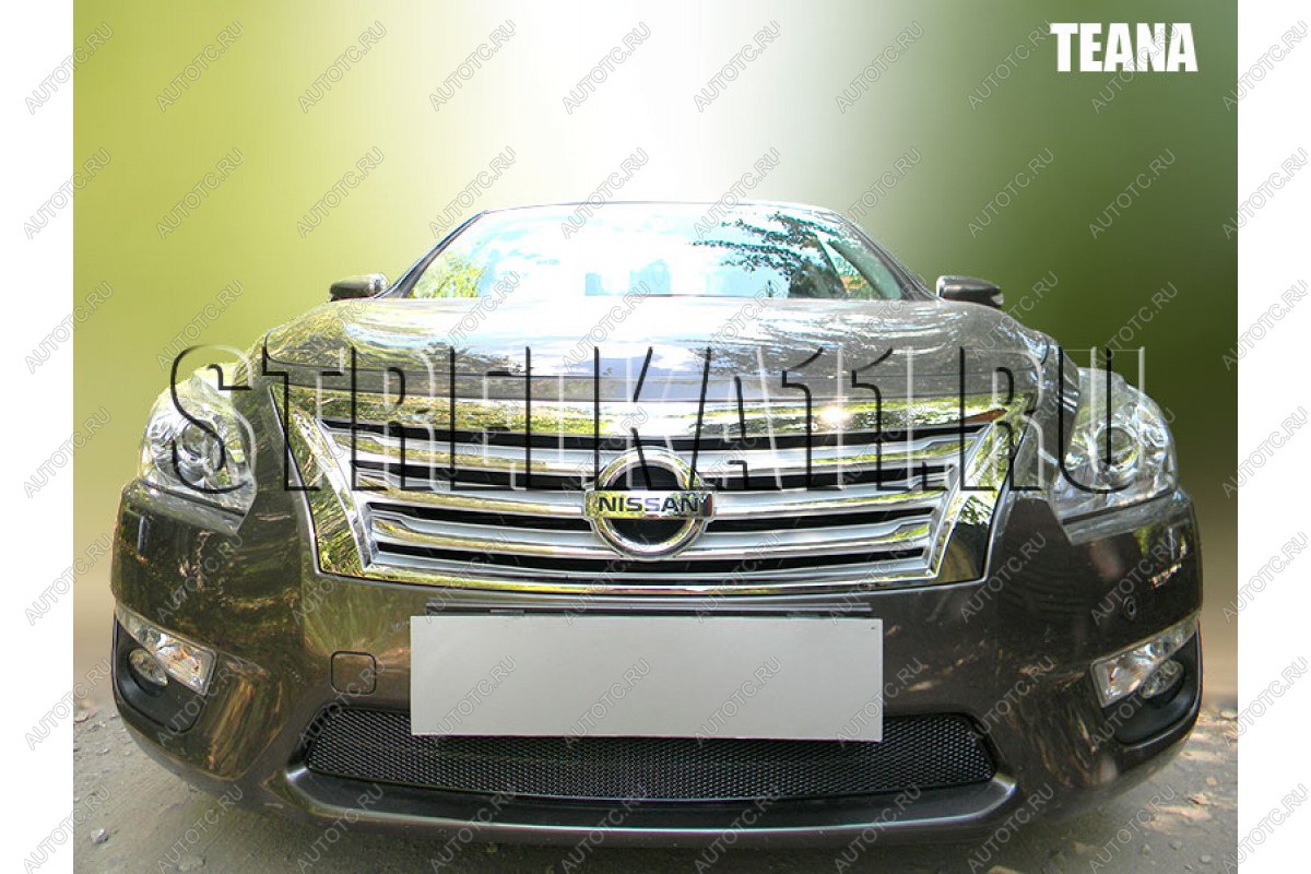 4 099 р. Защита радиатора Стрелка11 PREMIUM  Nissan Teana  2 J32 (2008-2011) дорестайлинг (черная)  с доставкой в г. Воронеж