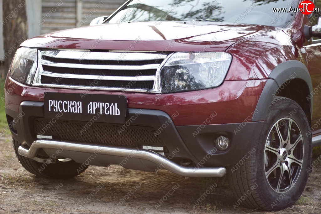 2 199 р. Защитная сетка решетки переднего бампера (c дхо и обвесом) РА  Renault Duster  HS (2010-2015) дорестайлинг  с доставкой в г. Воронеж