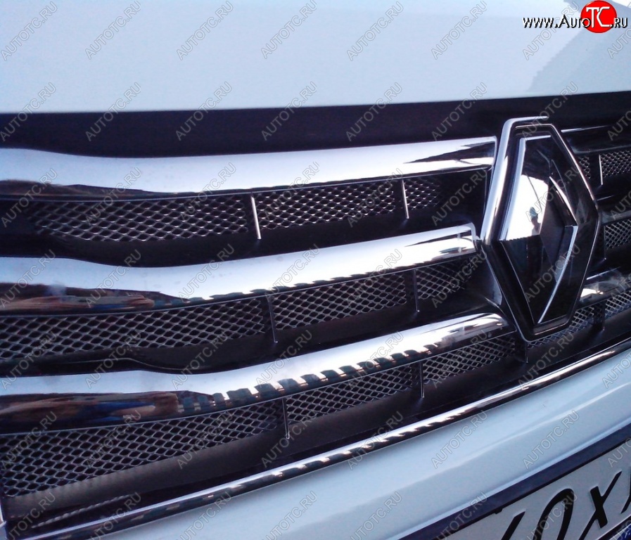 749 р. Защитная сетка решетки радиатора РА (черная)  Renault Duster  HS (2010-2015) дорестайлинг  с доставкой в г. Воронеж