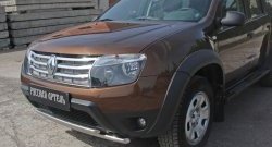 Защитная сетка решетки радиатора РА (металлик) Renault Duster  HS (2010-2015) дорестайлинг