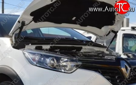 2 199 р. Газовые упоры капота Berkut  Renault Kaptur (2016-2025) дорестайлинг, рестайлинг  с доставкой в г. Воронеж