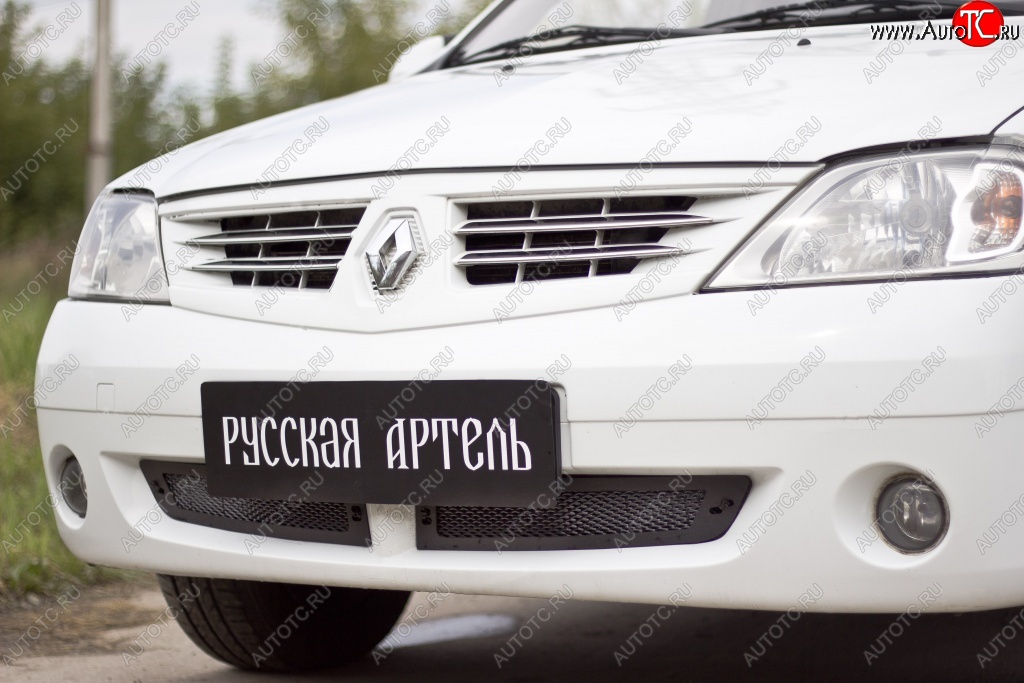 2 099 р. Защитная сетка решетки переднего бампера РА  Renault Logan  1 (2004-2010) дорестайлинг  с доставкой в г. Воронеж