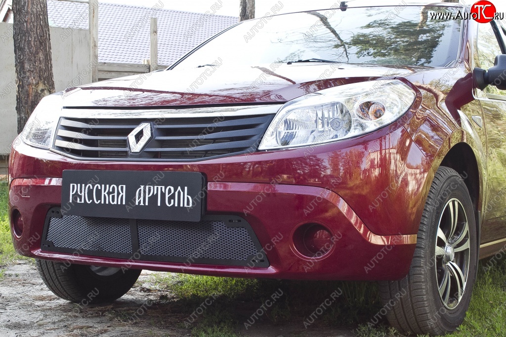 2 149 р. Защитная сетка решетки переднего бампера РА  Renault Sandero  (BS) (2009-2014)  с доставкой в г. Воронеж