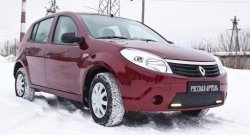 1 129 р. Зимняя заглушка решетки переднего бампера (с ДХО) РА  Renault Sandero  (BS) (2009-2014)  с доставкой в г. Воронеж. Увеличить фотографию 3